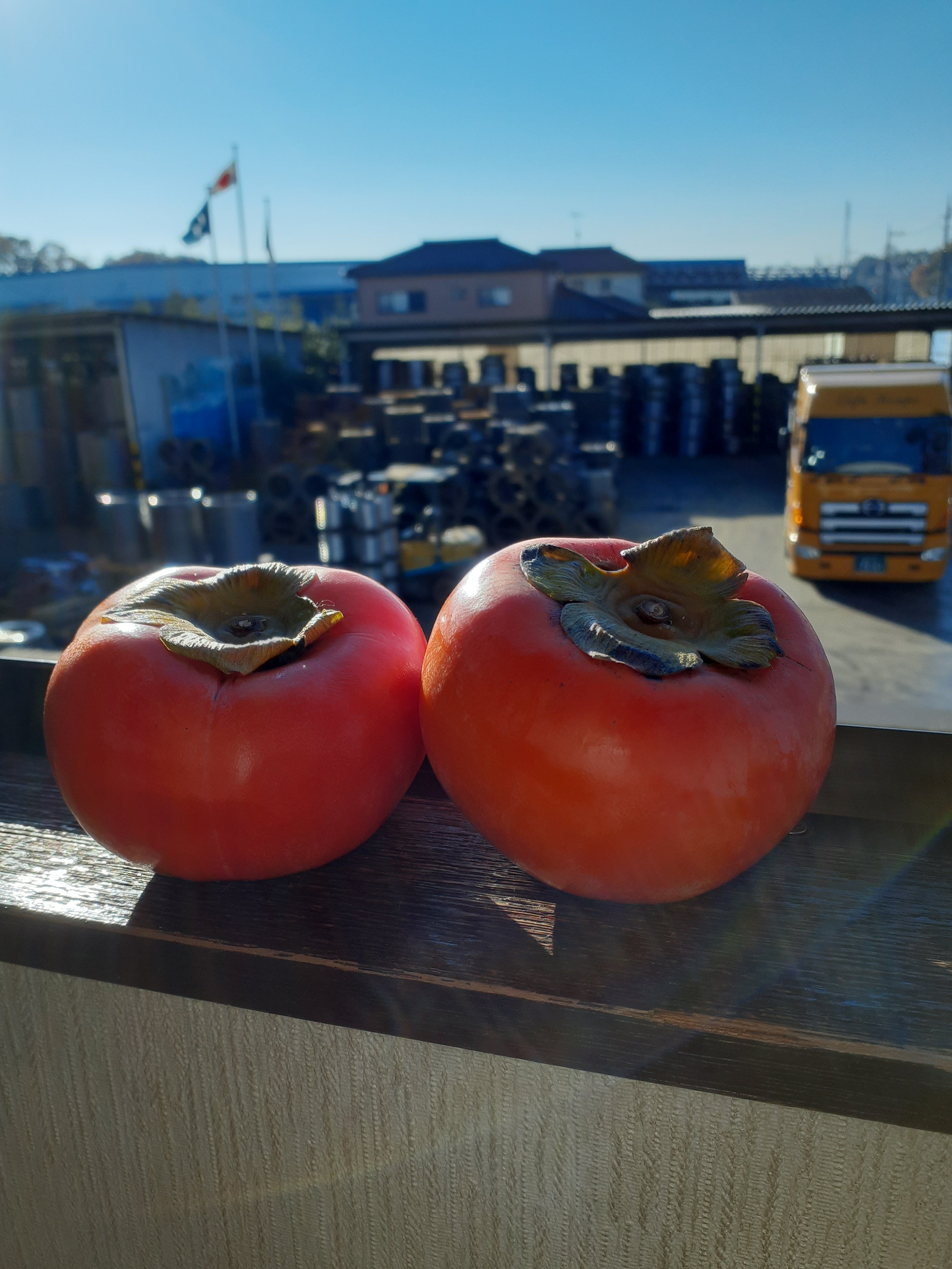 今年も美味しい柿、ありがとうございます。